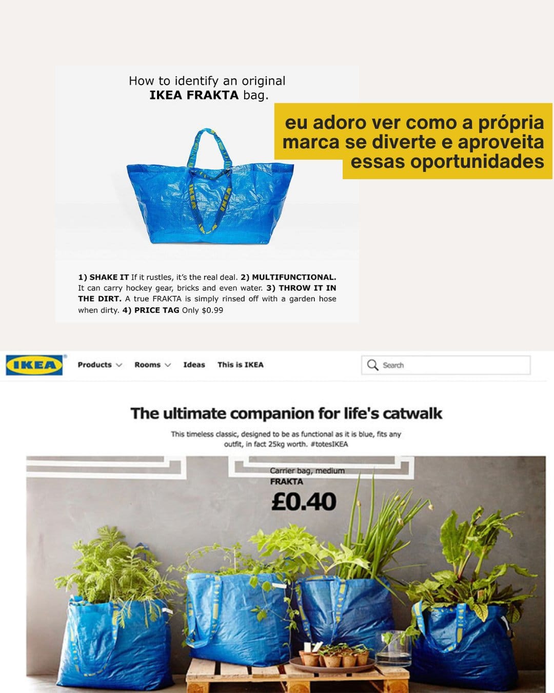 Sacolas IKEA Frakta utilizadas para transporte de plantas e objetos domésticos